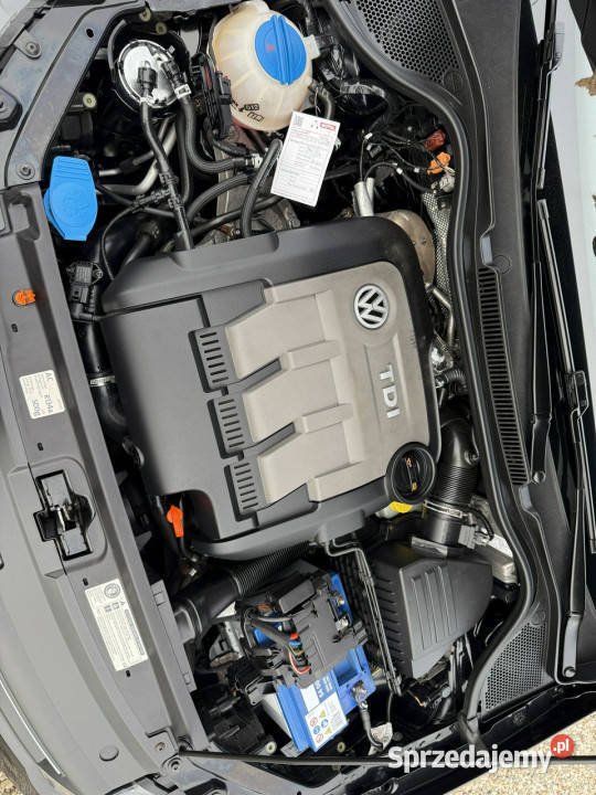 Volkswagen Polo Cross CROSS gwarancji w 75KM pomorskie Dąbrowa