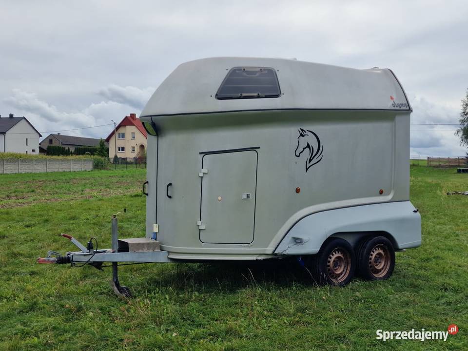 SLUIS Olymp DMC 2000 2 konie Zarejestrowana Do przewozu koni Piekoszów sprzedam