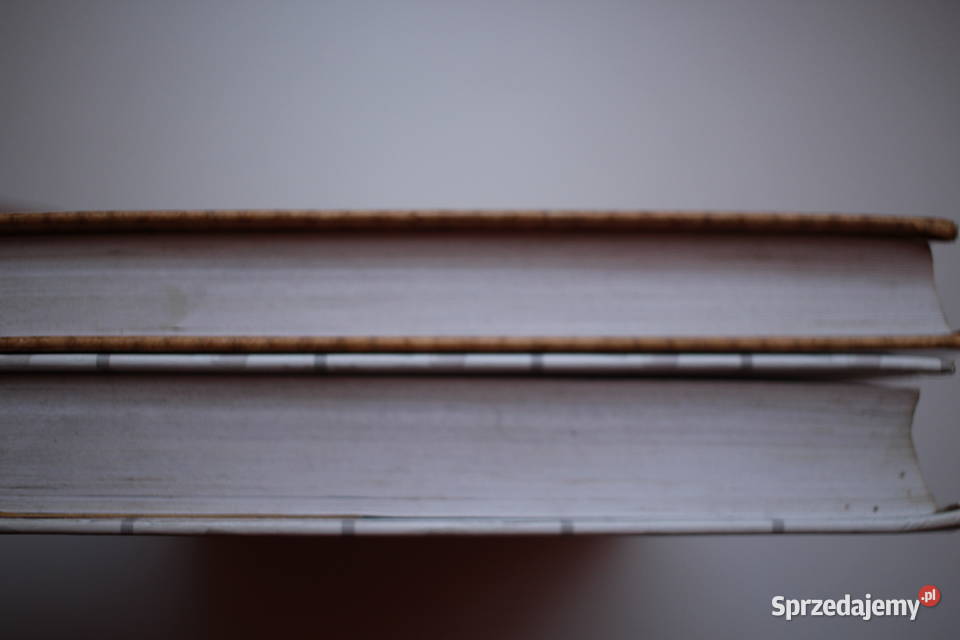 Komplet zestaw 2 książki Helen Fielding Bridget Toruń