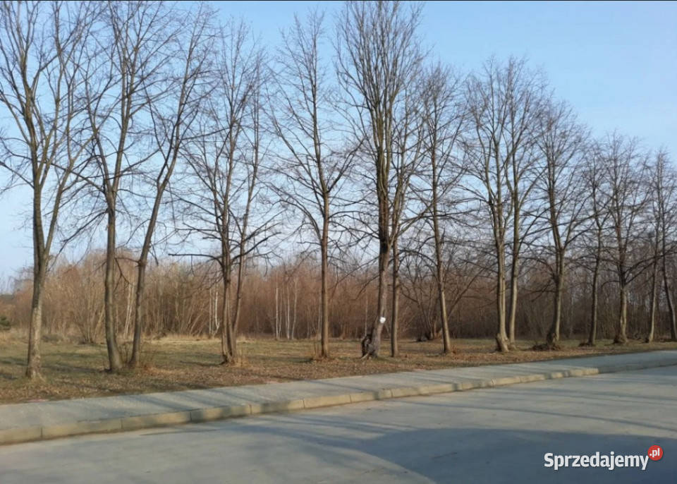 Szydłowiec zabudowa wielorodzinna i sprzedam