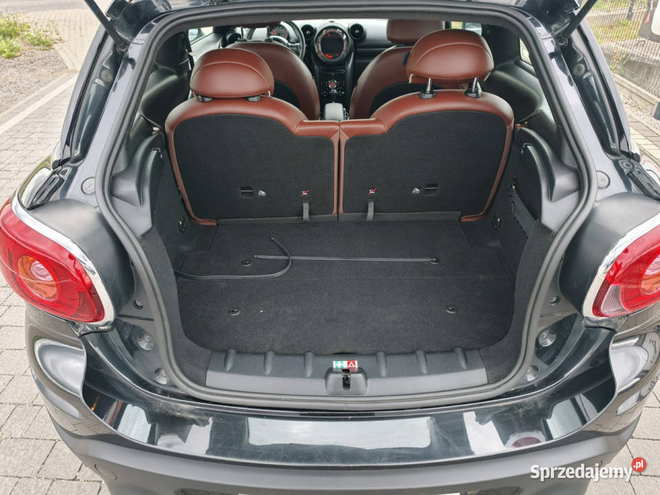 Mini Paceman
