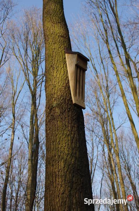 Budka nietoperzy mopkowa Pozostałe Brzeg