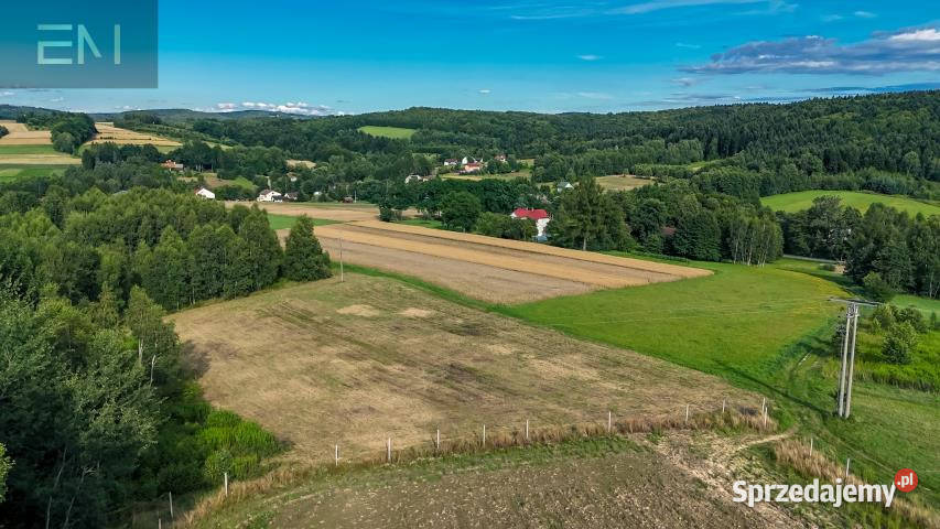 sprzedaży gruntu Konieczkowa 1752m2 podkarpackie sprzedam