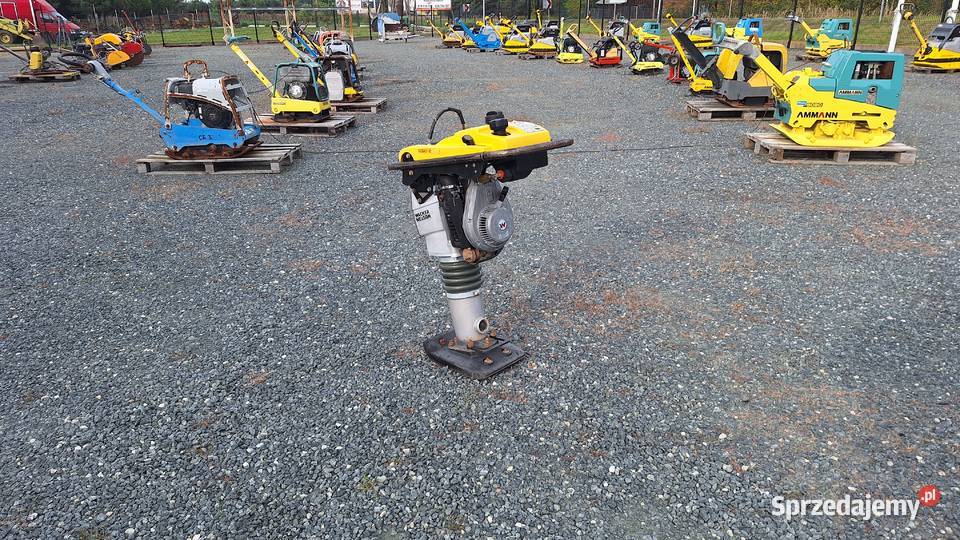 Skoczek Stopa WACKER NEUSON BS 502 plus 11in Trzebnica