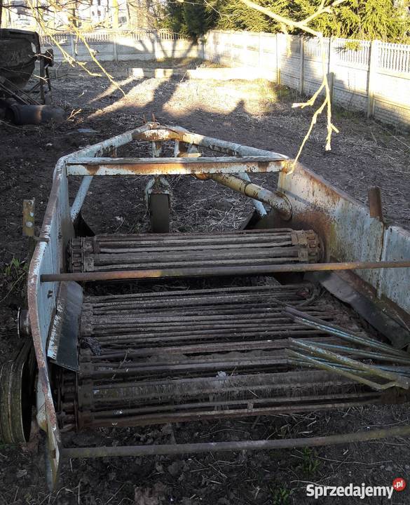 Kopaczka do ziemniaków Gorzów Wielkopolski