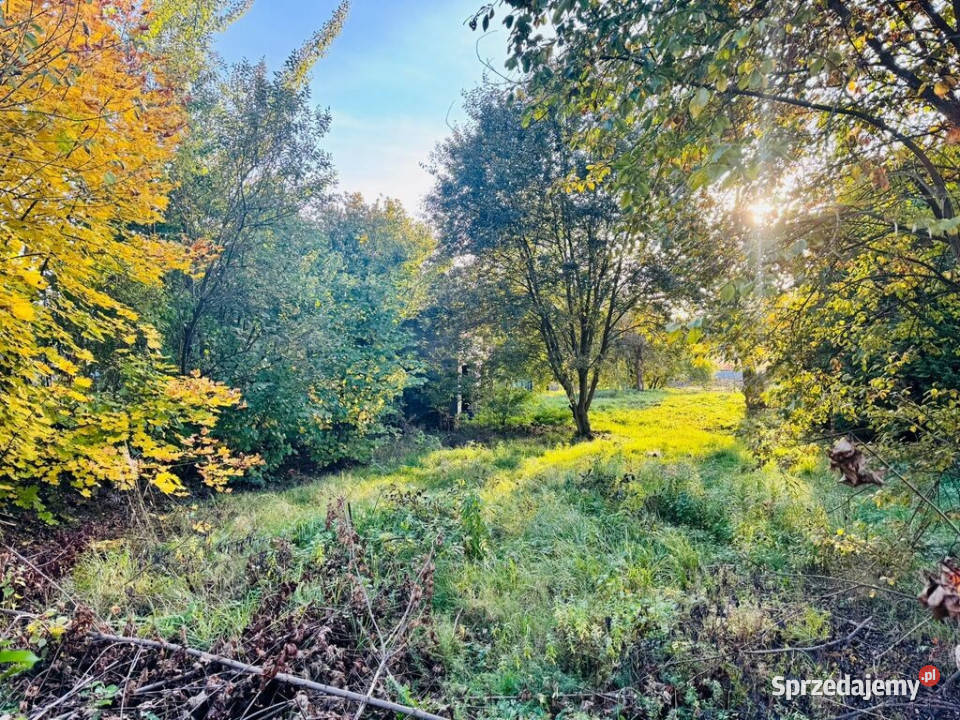 Działka budowlana 1766 m z garażem Niedobczyce Rybnik