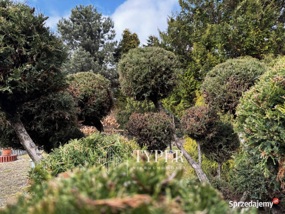 Luksusowa Posiadłość Jasień z wyjątkowym ogrodem Liczba pokoi 8