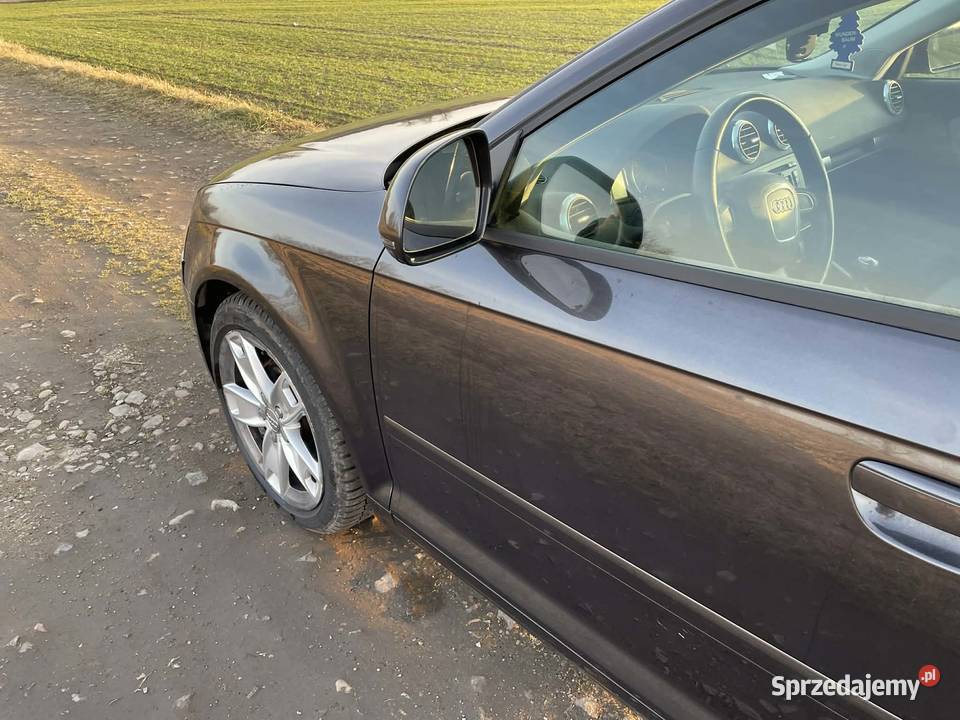 Audi a3 8p 2009 sportback Nieżywięć