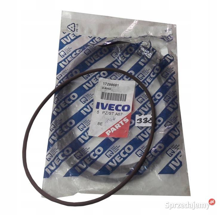 Oring 367 x 533 Kobylnica