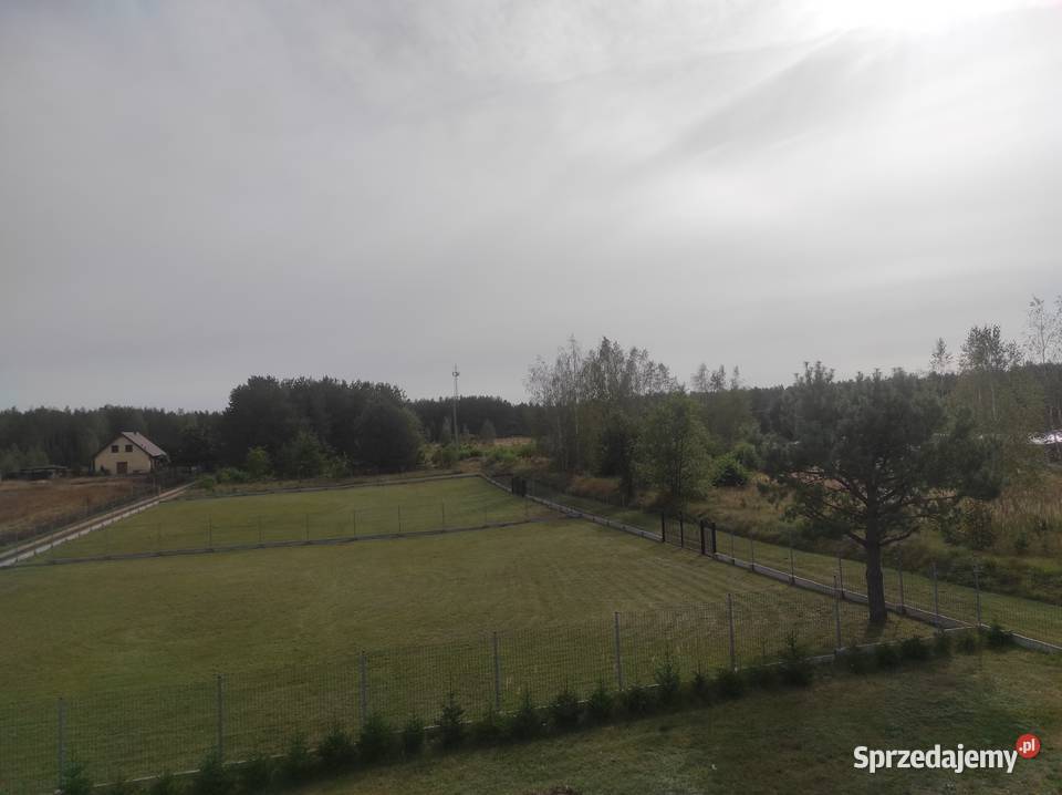 Dwie działki budowlane ogrodzone Płaska 16326 budowlana Zambrów