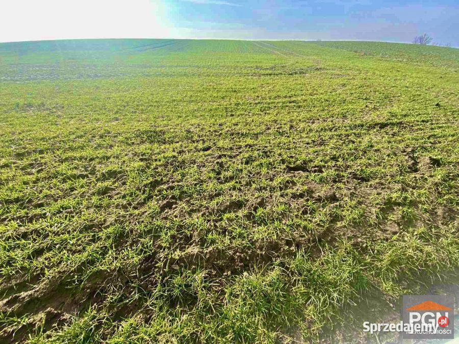 Działka do sprzedania 2300m2 Gryfice sprzedam