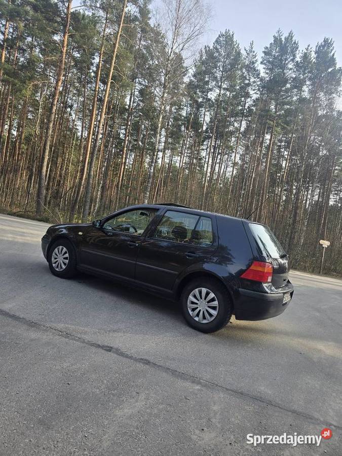 VW golf 4 14 16v Biłgoraj