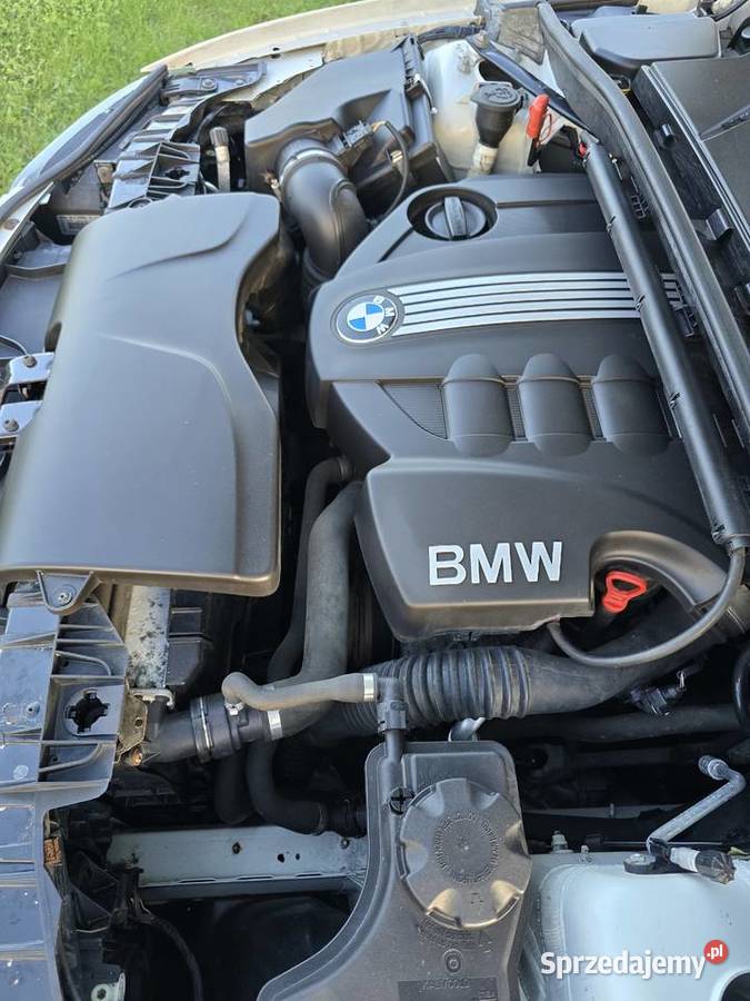 https wwwolx d 1105376072 bsolxprolisting nieuszkodzony