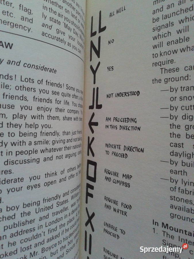 Angielska ksiazka SCOUT HANDBOOK Harcerstwo miękka Puławy