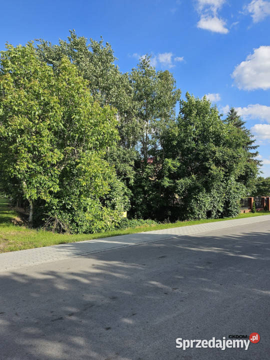 Wyjątkowa działka budowlana Dąbrowa gm Masłów 1392m2