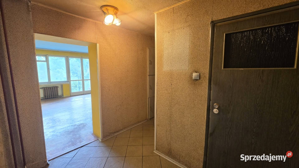 Unikat 614m na zielonym Grabiszynku 1 piętro Sprzedaż Wrocław