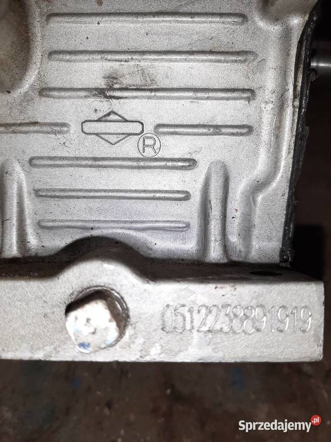 Silnik BS wał poziomy sprzedam