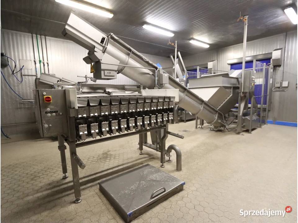 Nawi Newtec 2012 Linia nadziewająca i ważąca Produkcja sprzedam