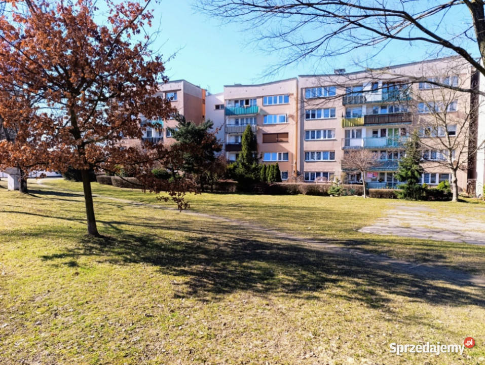 Mieszkanie Tychy Morcinka świetna 366m2