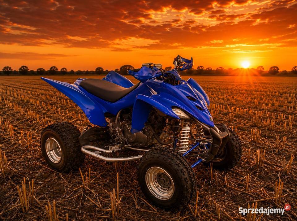 Yamaha Raptor 350 mazowieckie Wielgie