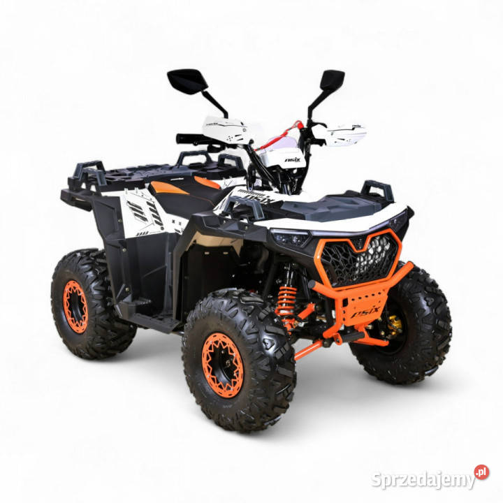 ASIX Inny Quad ASIX Grizzly 125 Transport Raty Bicz
