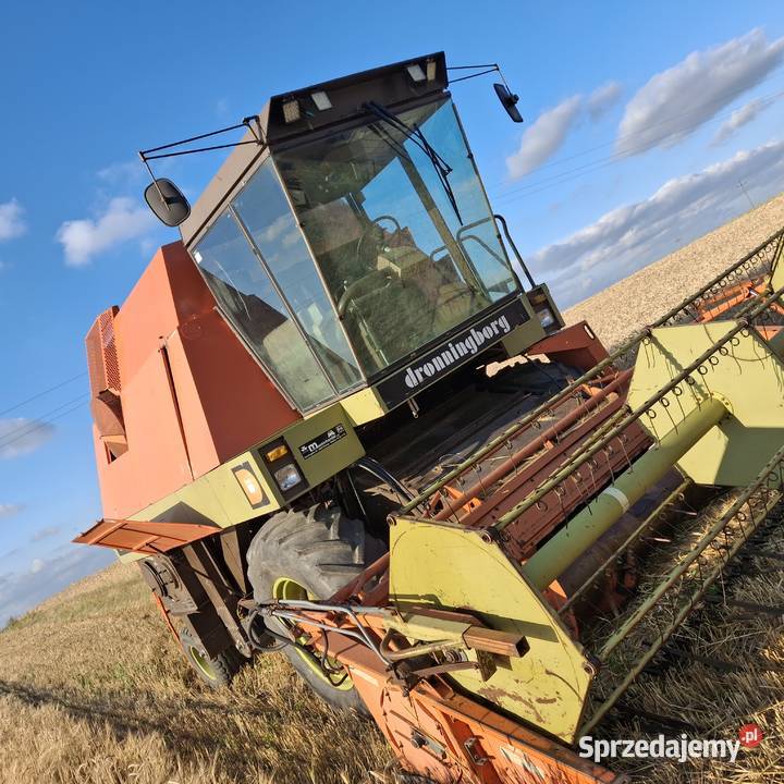 Kombajn dronningborg d7000 Ryki sprzedam