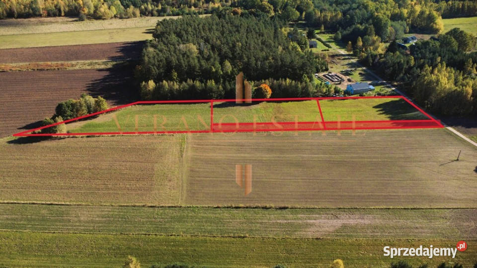 Piękna działka 2693 m2 w Ryczołku Wydane WZ utwardzona