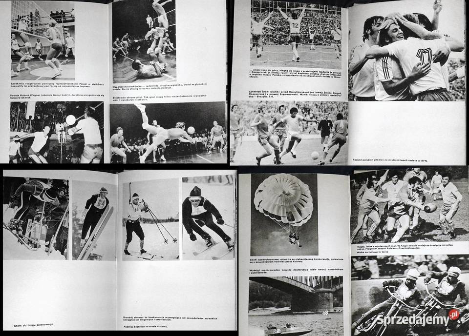 Iskier Przewodnik sportowy Red Krystyna Grzesik Pozostałe