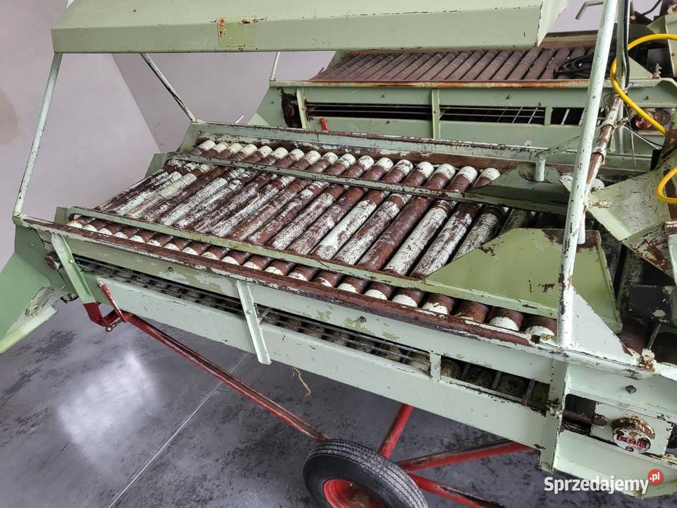 Sortownik do ziemniaków Góra Kalwaria