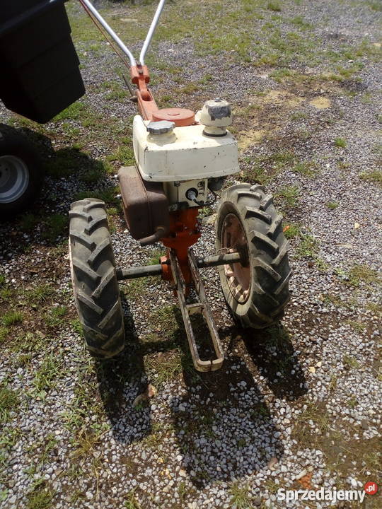 Traktor Jednoosiowy Terra Vari Dzik