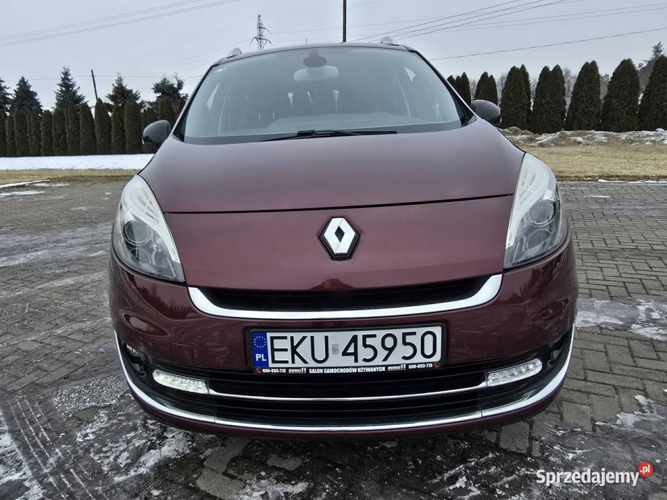 Renault Grand Scenic 14Tce BenzBOSEKamCOF7 ESP
