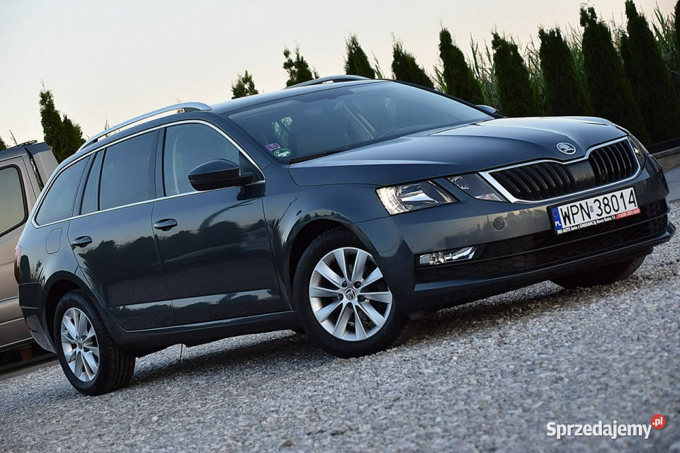 koda Octavia 16TDI 115 DSG Navi Led Półskóra Nowe Kucice