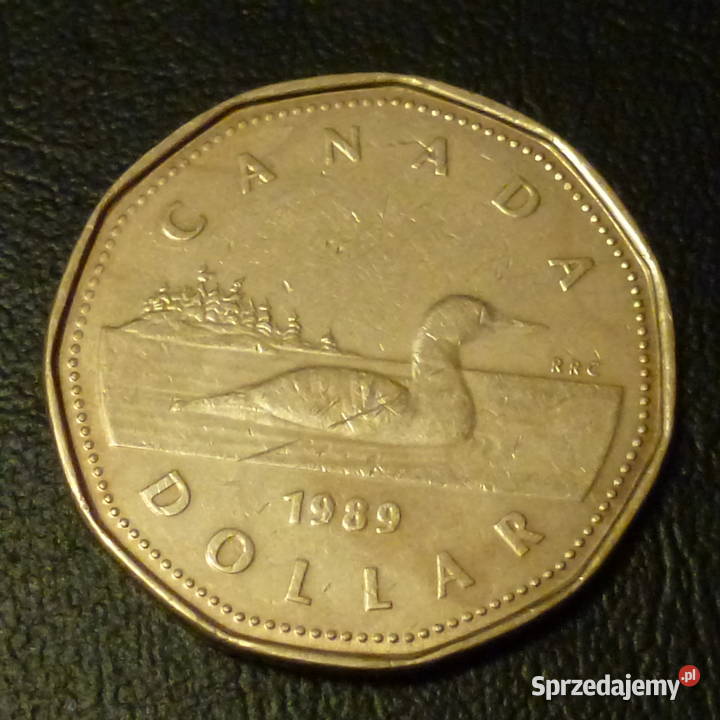 Moneta 1 dolar 1989 r Elżbieta II moneta z Warszawa sprzedam