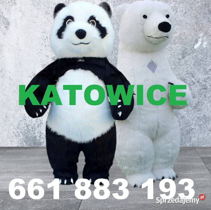 KOSTIUM XXL MISIA PANDY 26 METRA GIGANT DMUCHANY Katowice