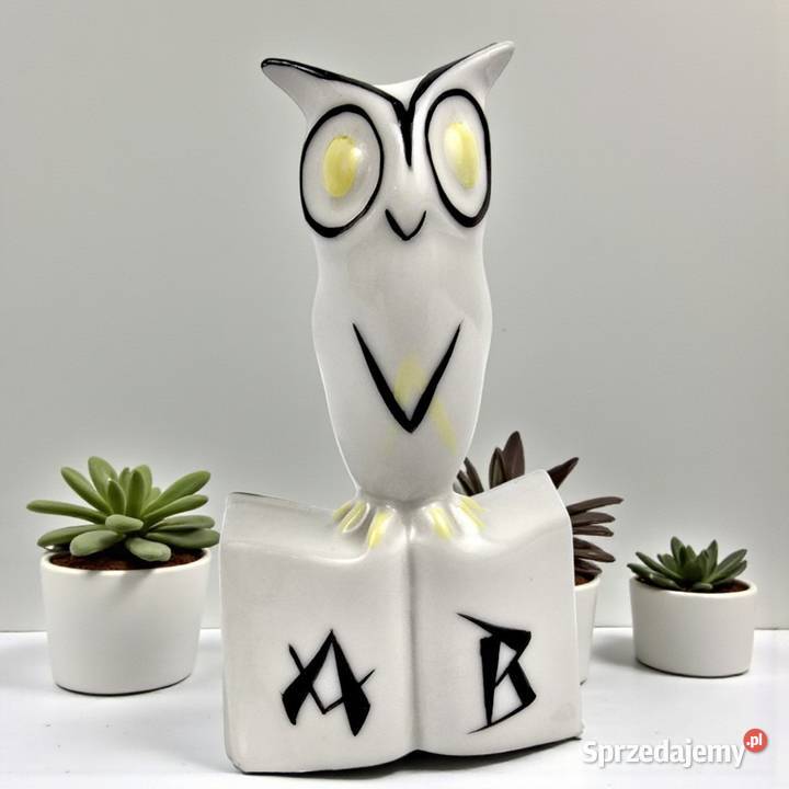 Look Sowa na książce Hollohaza Węgry pikasiak mazowieckie Warszawa