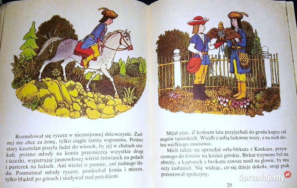 O Zofijce sierocie Kornelia Dobkiewiczowa lubelskie Chełm