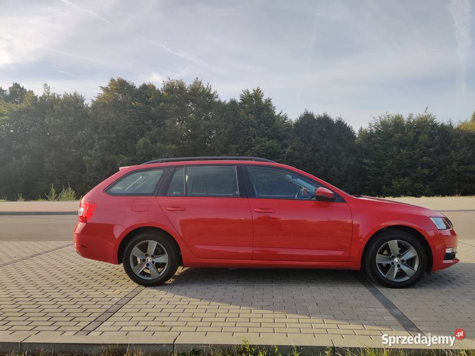 Skoda Octavia 16 TDI Rok produkcji 2019 Octavia Kościerzyna sprzedam