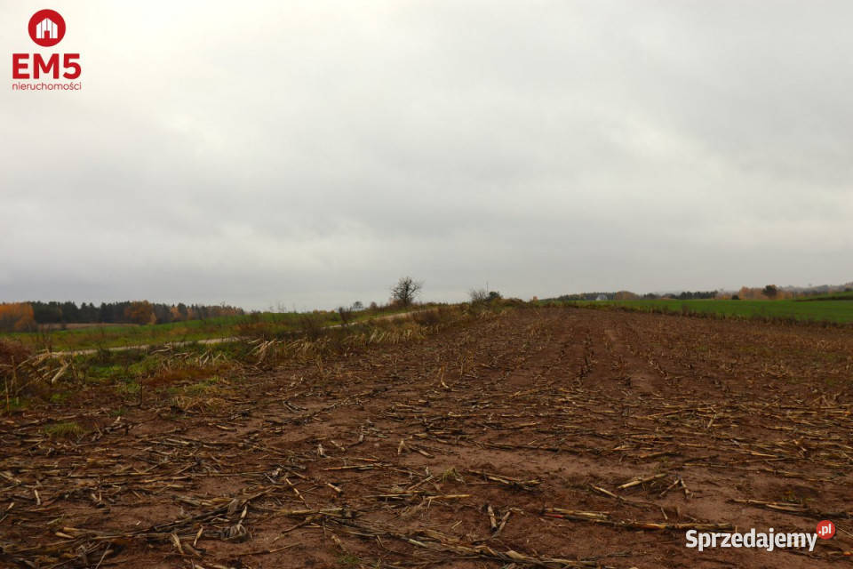 Działka 12000m2 Żegary