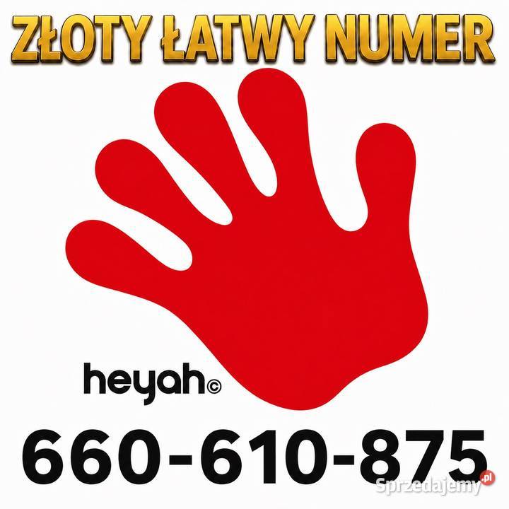 Złoty Numer Heyah 660610875 Pińczów sprzedam