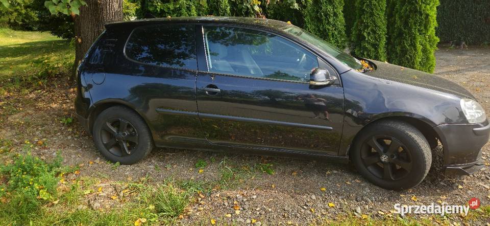 Volkswagen Golf V 16 Benzyna 2005 Wyrazisty Styl Nowy Sącz