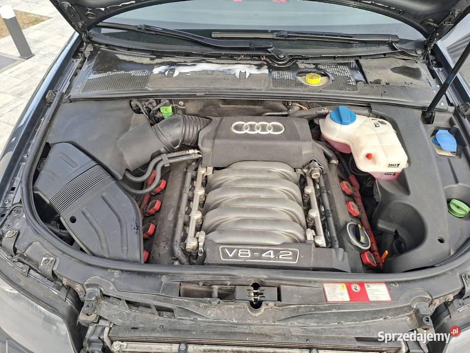 Audi s4 b6 42 v8 344 Żnin
