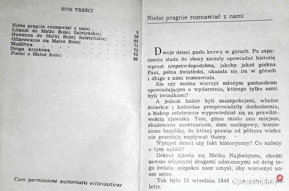 Piękna Pani Charles de Salmiech Kultura i Rozrywka Chełm