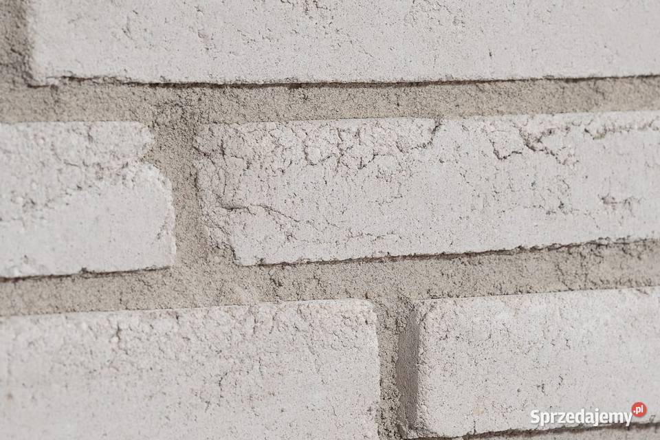 Long Tom White Warszawa