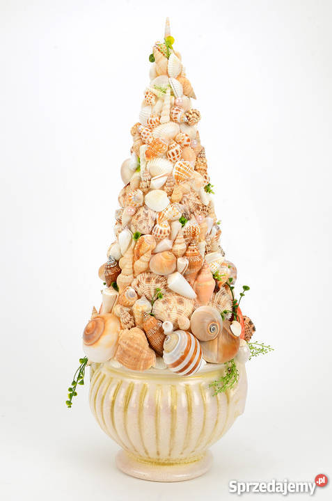 Stroik z muszli morskich pomorskie Pruszcz Gdański