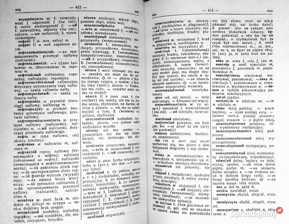 Podręczny słownik rosyjskopolski Józef Dworecki Chełm