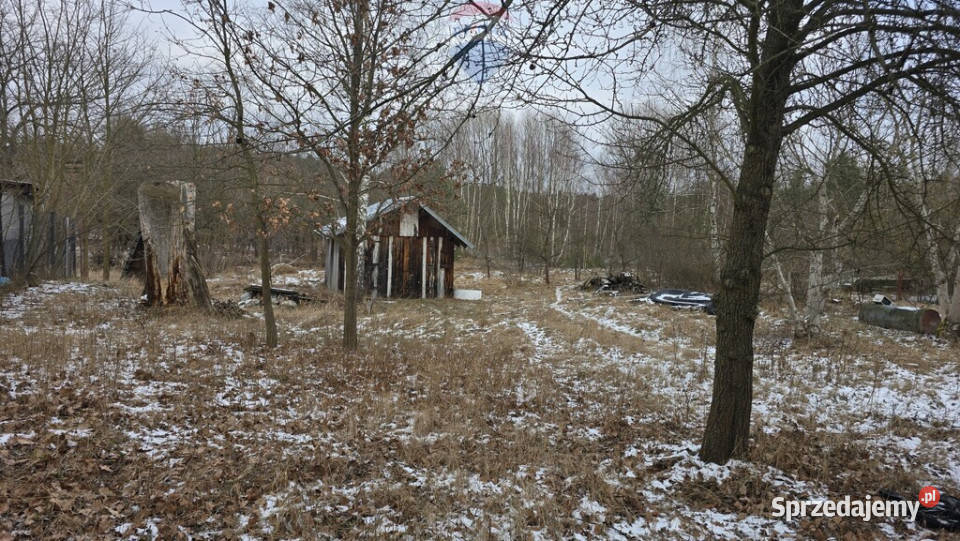 176 ha Sierzchów MPZP