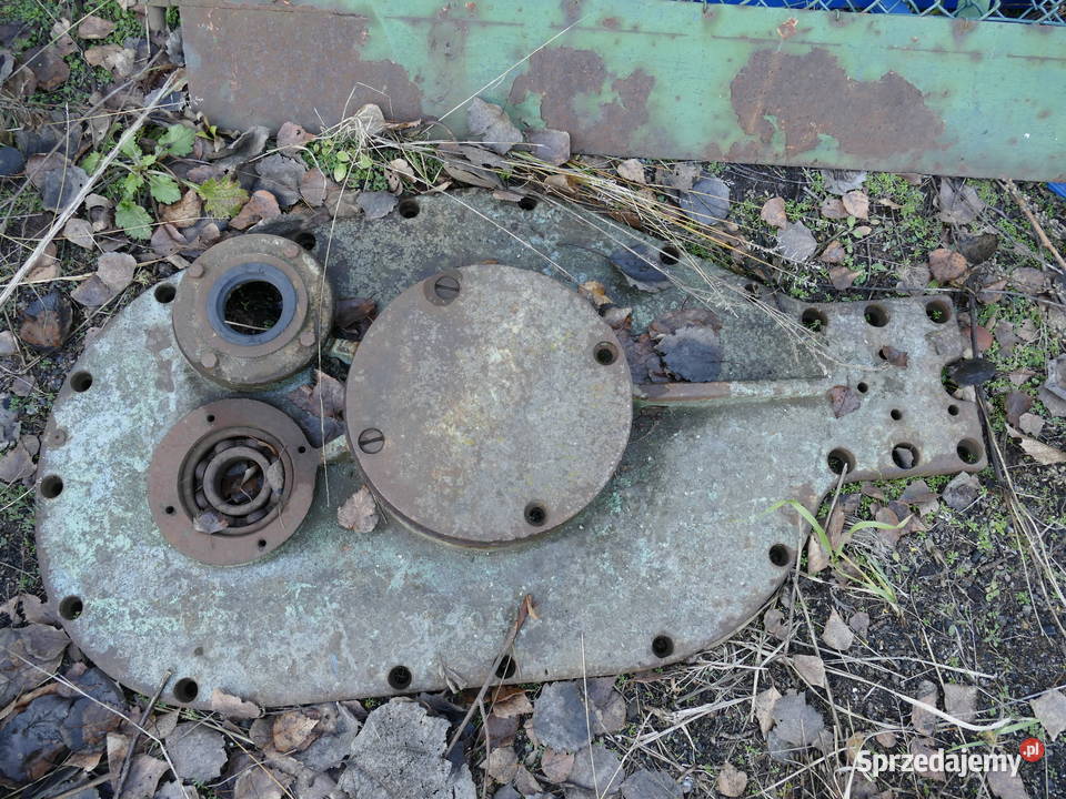 noże gilotyna Żagań