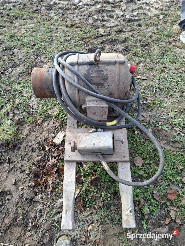 Krajzega cyrkulatka Majdanek