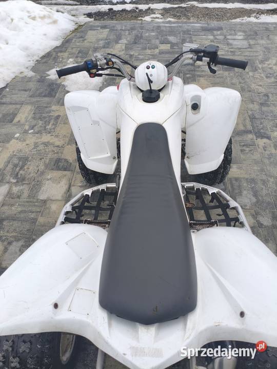 Yamaha Raptor 350 Iskrzynia sprzedam