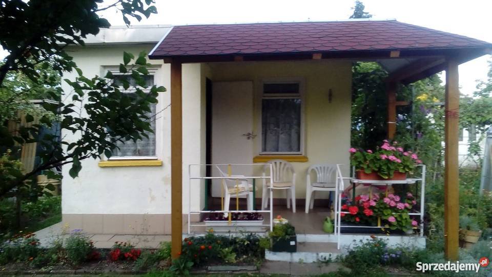 Działka ROD Leśna Polana Poznań sprzedam